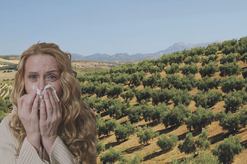alergia al olivo
