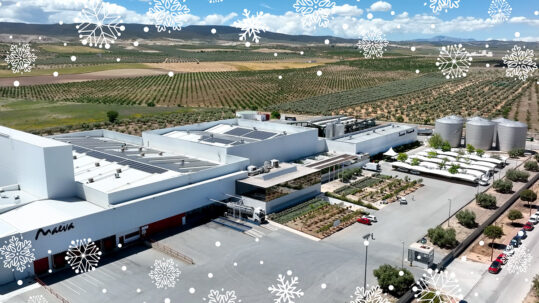 felices fiestas aceites maeva navidad 2025
