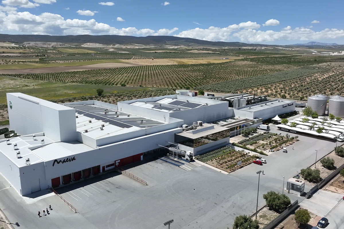 envasadora de aceite